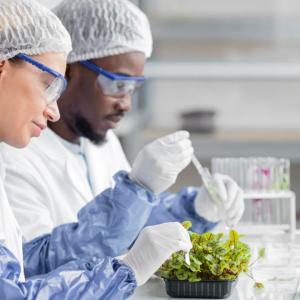 M.Sc. (Industrial Biotechnology)